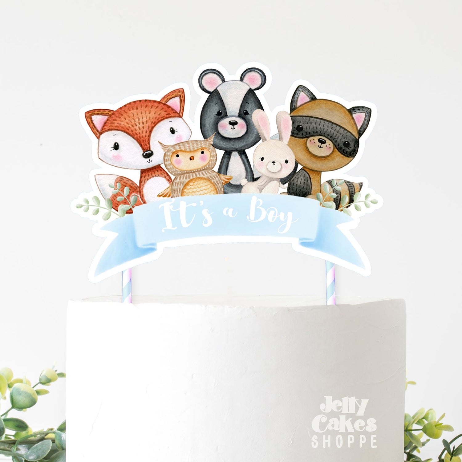 BOY BABY SHOWER