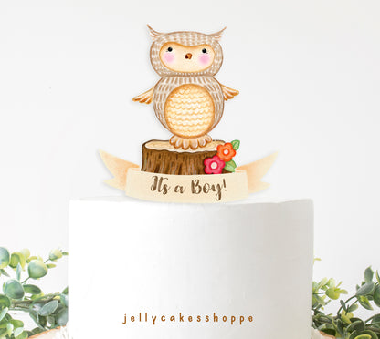 Woodland Owl Baby Shower Cake Topper for Boy, Baby Boy's 1st Birthday Cake Topper