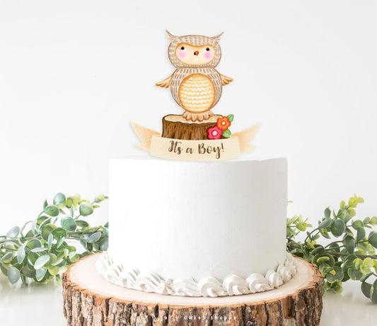 Woodland Owl Baby Shower Cake Topper for Boy, Baby Boy's 1st Birthday Cake Topper